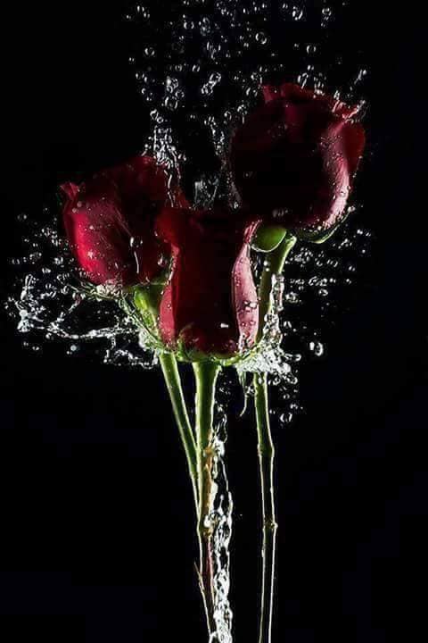 Good Tuesday Morning! 06/28/22