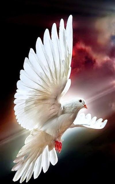 Good Wednesday morning! June 15, 2022