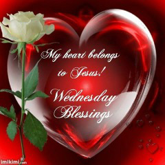 Good Wednesday morning! July 20th 2022