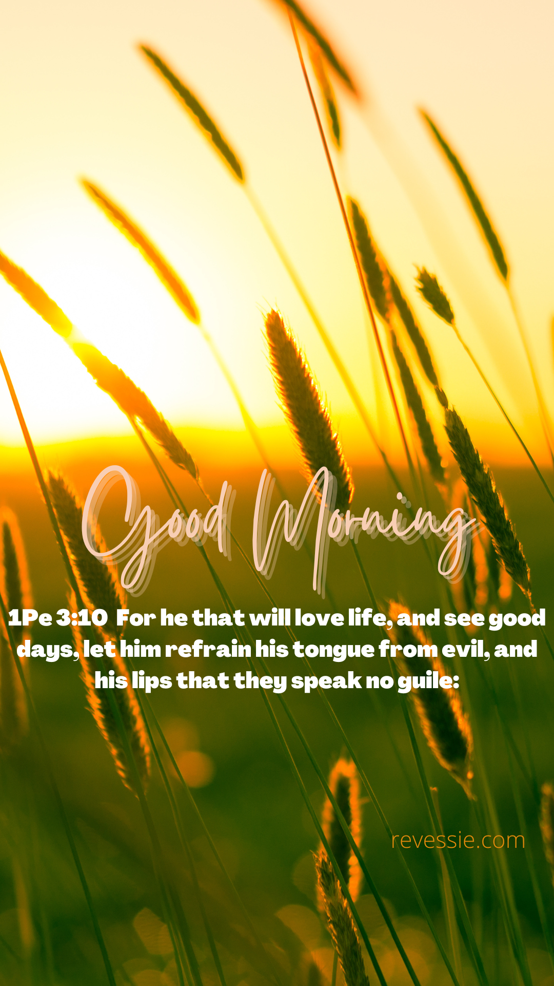 Good Saturday morning! August 27th 2022