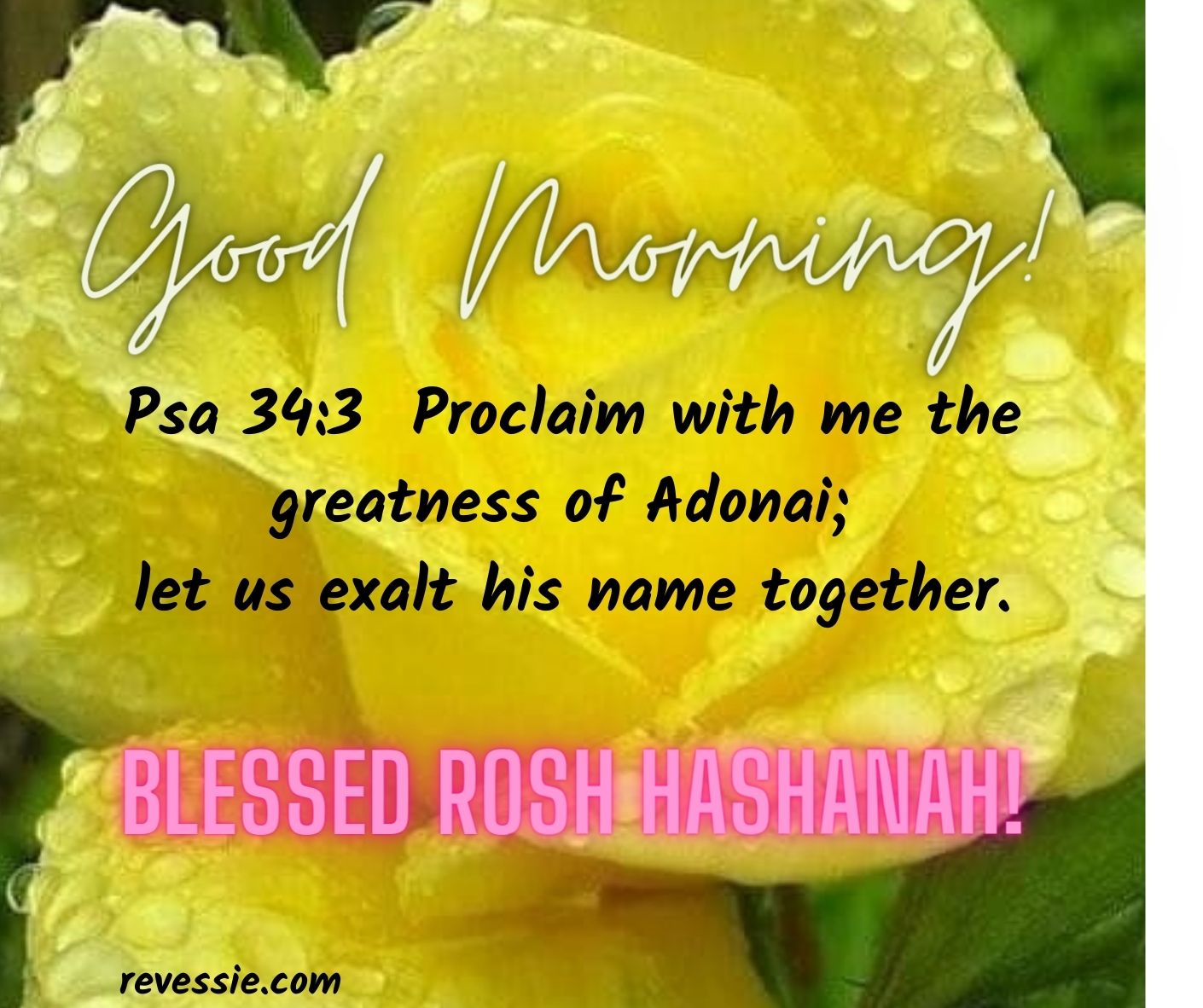 Blessed Rosh Hashanah! September 26th 2022