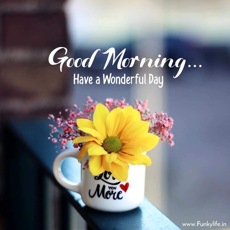 Good Friday morning! May 31, 2024.