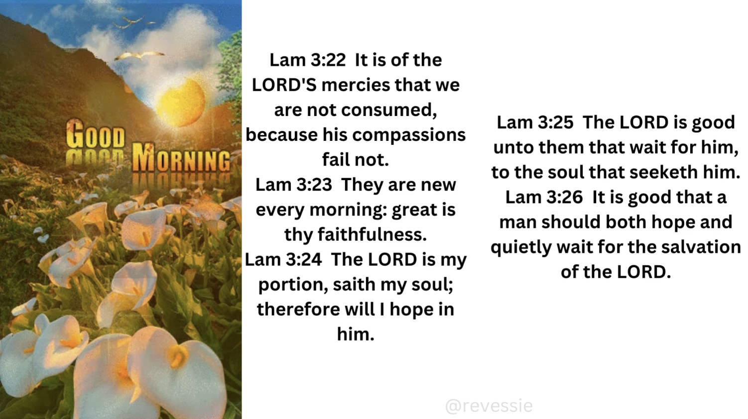 Good Tuesday morning! July 16, 2024