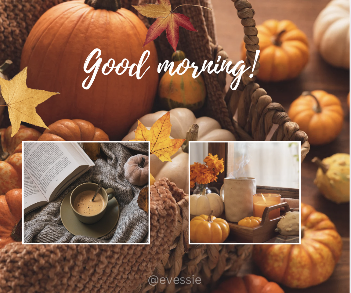 Good Wednesday morning! November 6, 2024