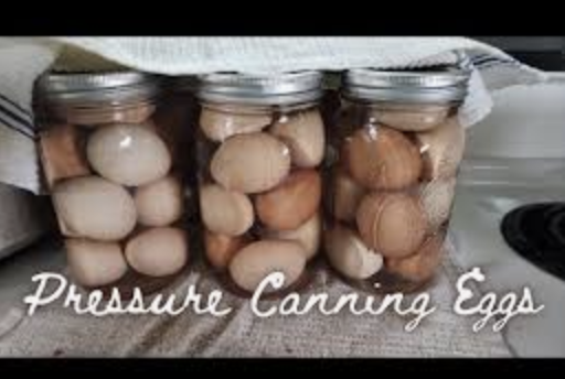 Pressure canned eggs.