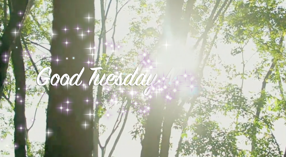 Good Tuesday Morning! 052725