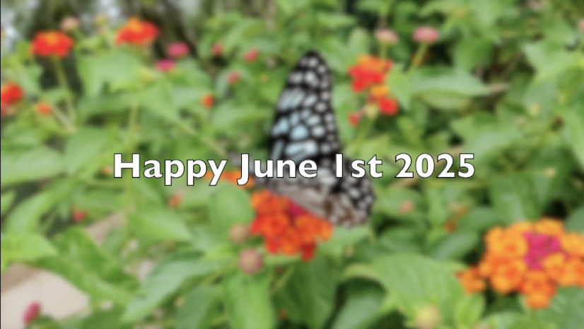 Happy June 1st, 2025