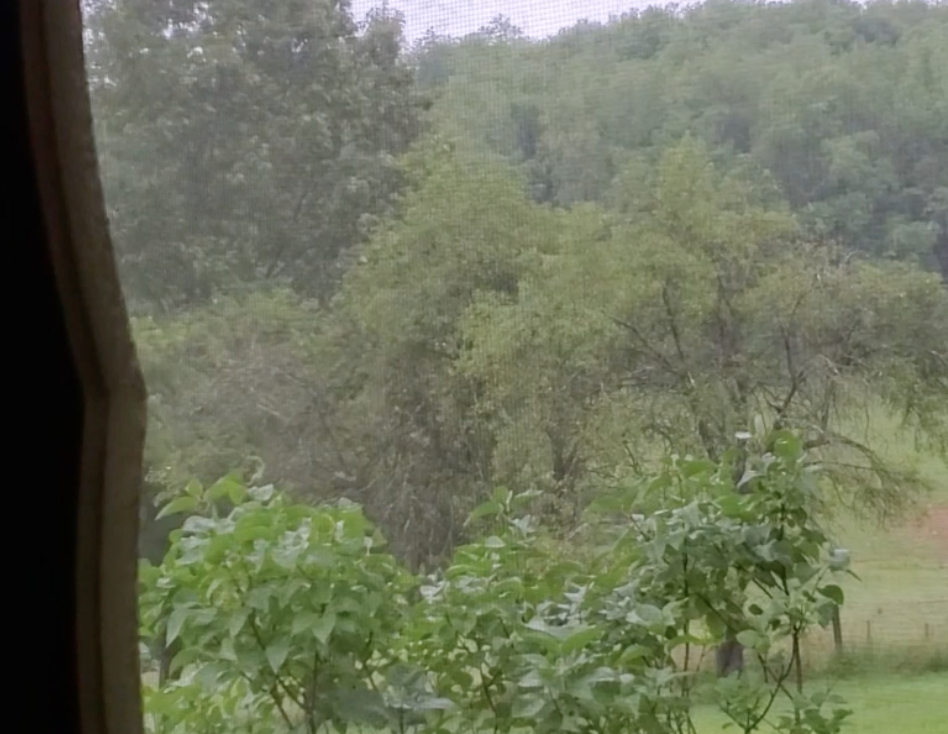 Celebration of 4 full years-0627.mov