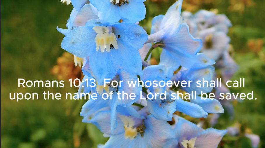 ☀️🍳🥯Good morning! ☕️08 16 25