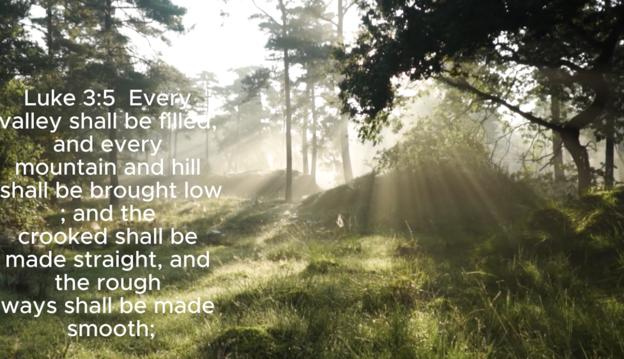 ☀️🍳🥯Good morning! ☕️08 19 25