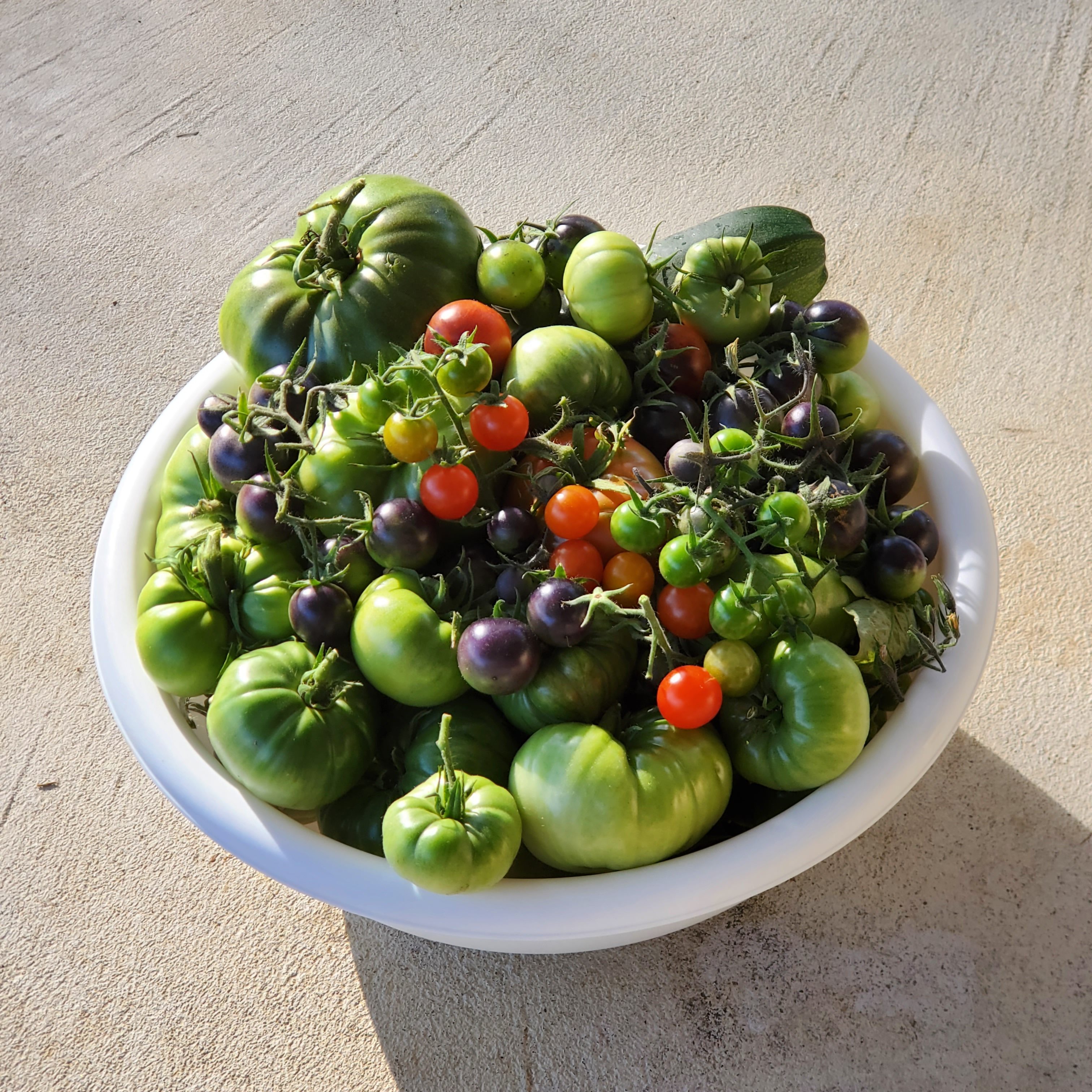Our garden harvest on 10 15 25