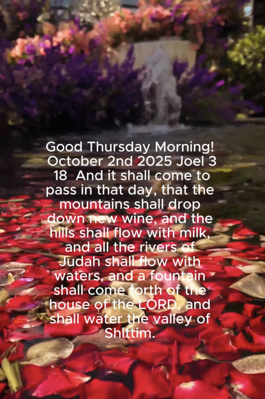 ☀️Good Thursday morning! ☕️ October 2nd, 2025