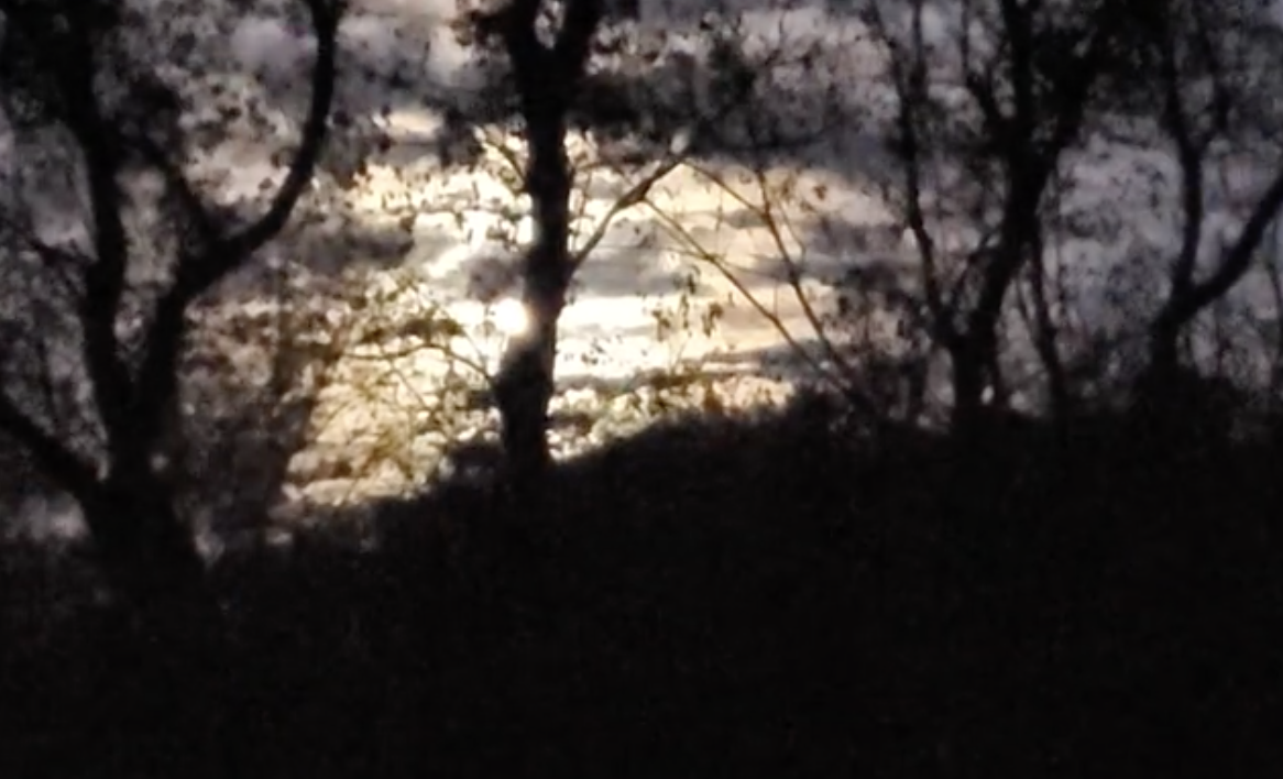 Look outside 100625 7:30PM