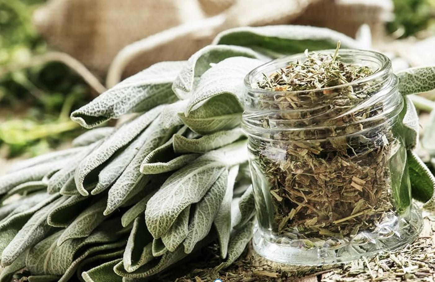 How Various Teas helps us