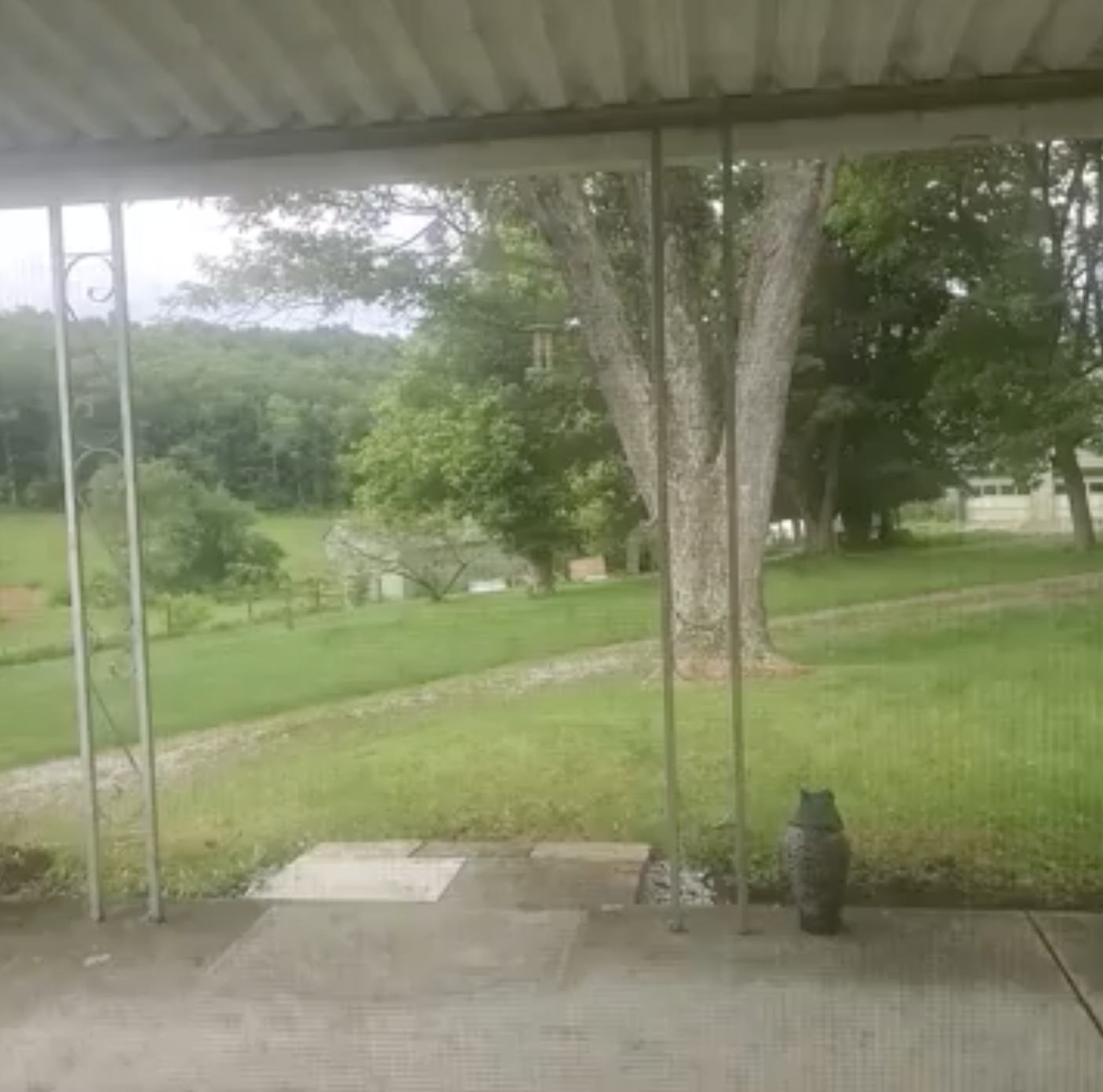 Sometimes neighbors will test your resilience. #Pray