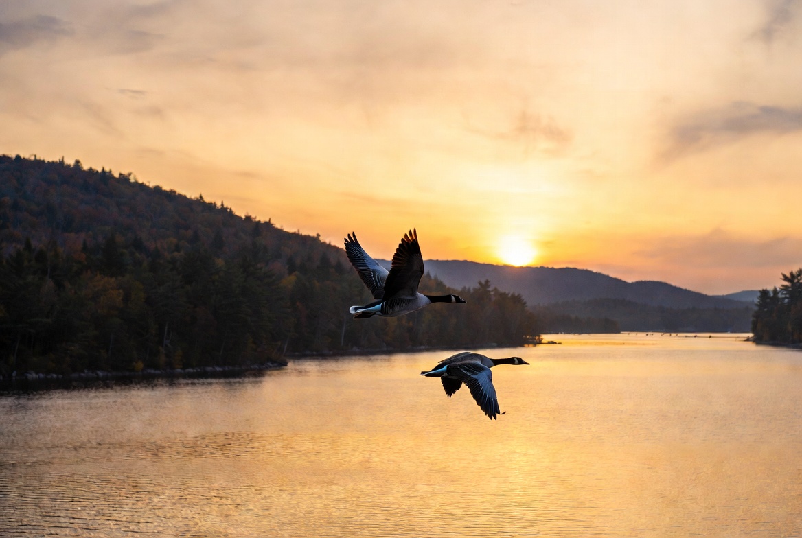 Good Tuesday Morning! ☕️ May 19, 2026